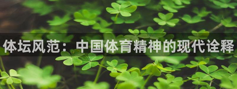 体坛风范：中国体育精神的现代诠释