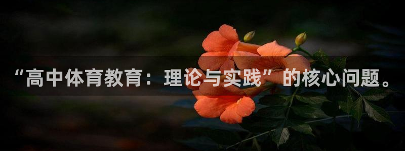 “高中体育教育：理论与实践”的核心问题。