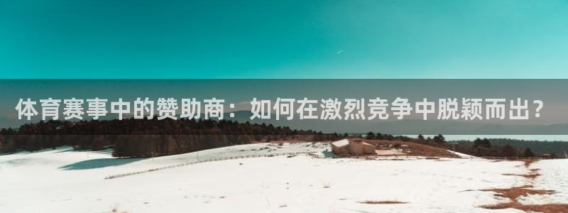 体育赛事中的赞助商：如何在激烈竞争中脱颖而出？
