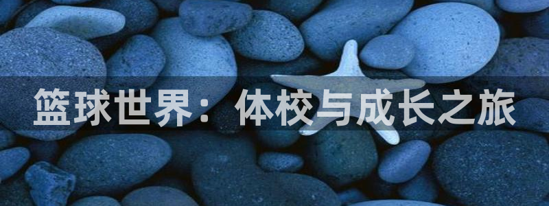 篮球世界：体校与成长之旅