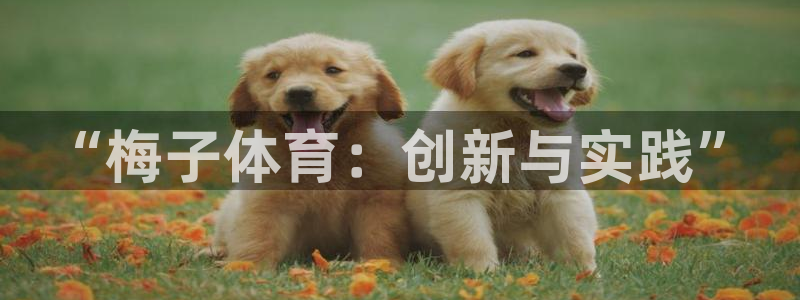 “梅子体育：创新与实践”