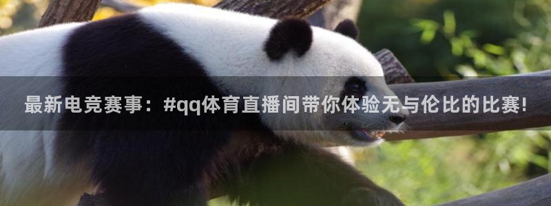 最新电竞赛事：#qq体育直播间带你体验无与伦比的比赛!
