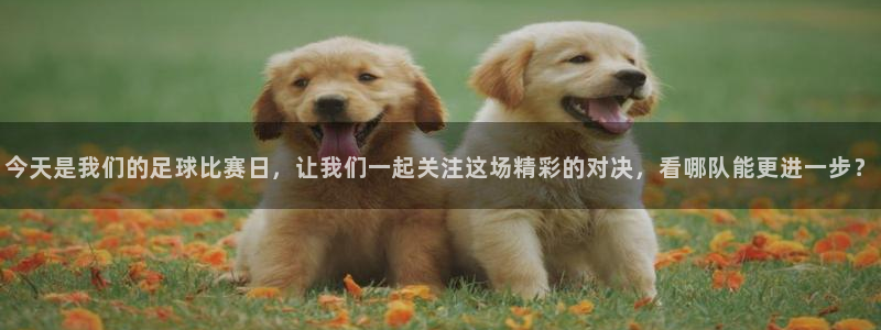 今天是我们的足球比赛日，让我们一起关注这场精彩的对决，看哪队能更进一步？