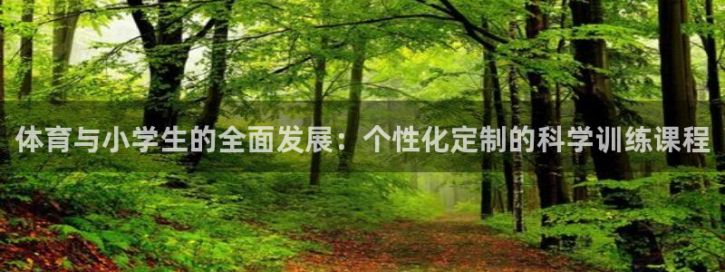 体育与小学生的全面发展：个性化定制的科学训练课程